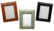 Leather Reptile 4" x 6" Photo Frames